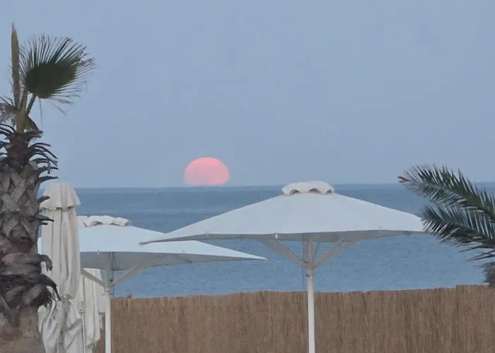 Sea Sound Mamaia Nord * Năvodari